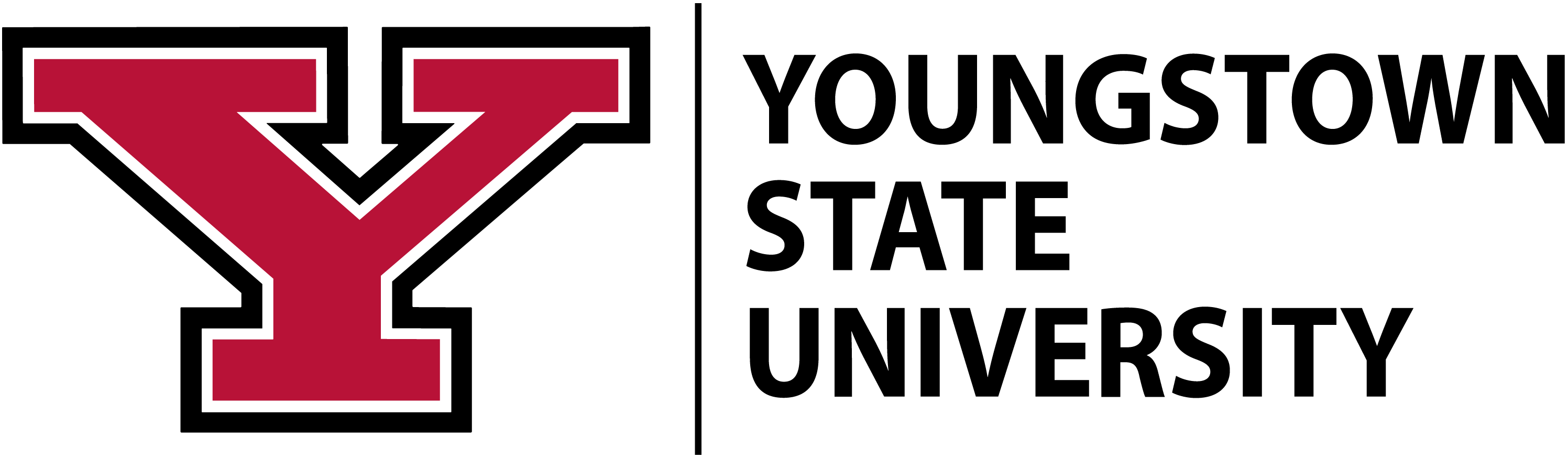 Youngstown State University Logo Image.